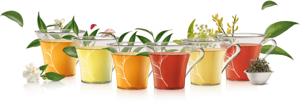 Dolce Gusto Thé noir,english Breakfast tea: capsule Special T