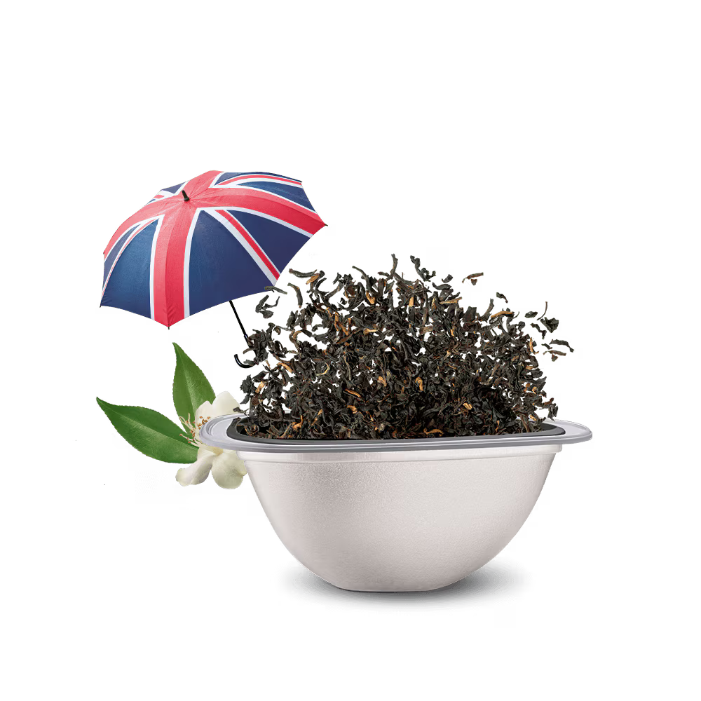 Dolce Gusto Thé noir,english Breakfast tea: capsule Special T