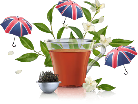 Dolce Gusto Thé noir,english Breakfast tea: capsule Special T